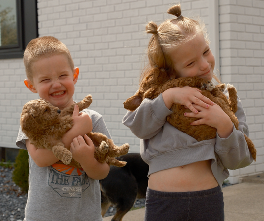 Best-Goldendoodle-Breeder