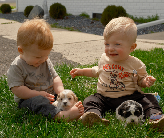 Best-Cavapoo-Breeder