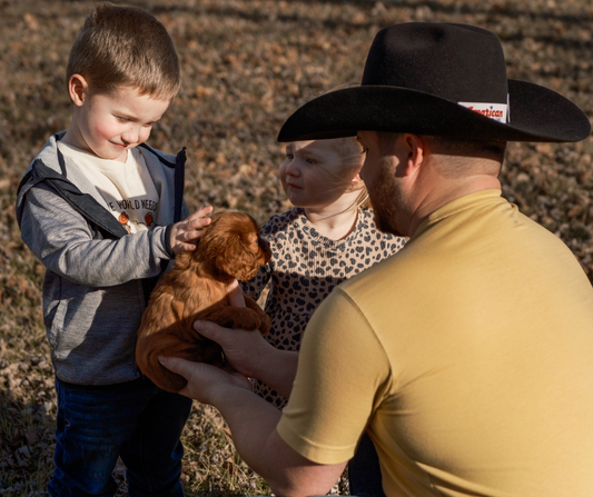 Best-Cavapoo-Breeder-Indiana