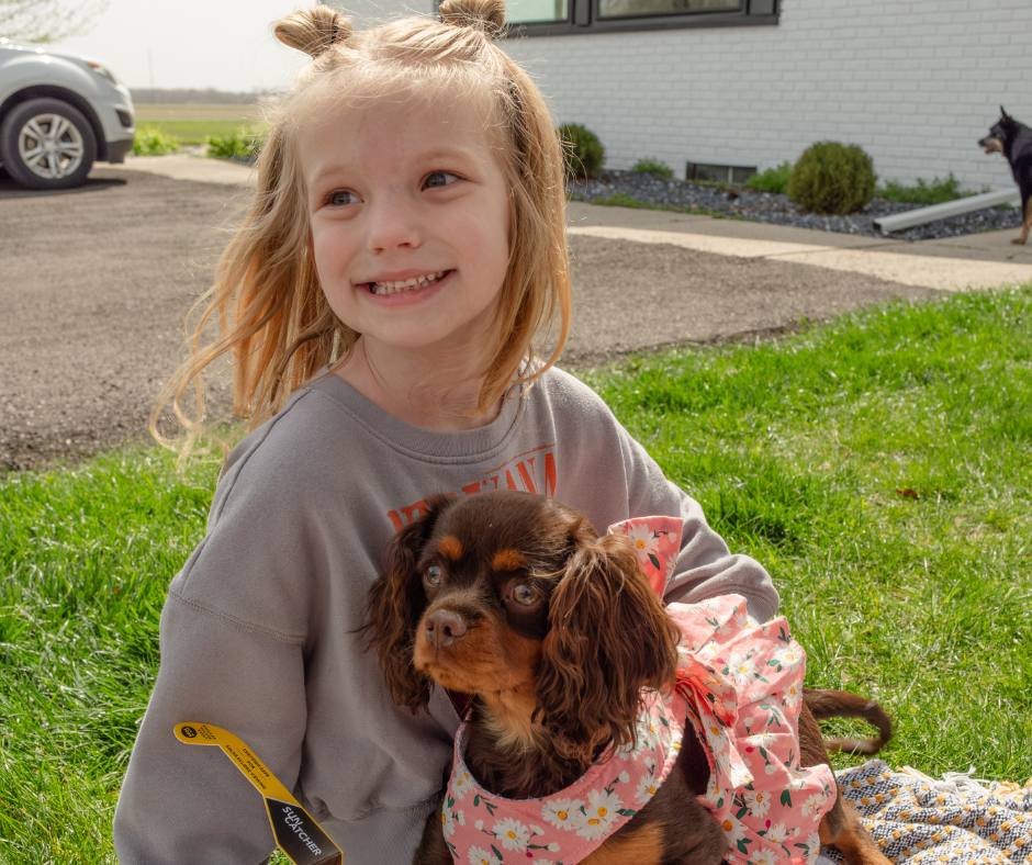 Best-Cavalier-Breeder-Indiana