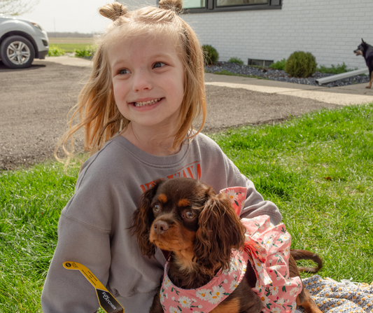 Best-Cavalier-Breeder-Indiana